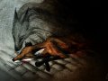 die_elende_by_culpeo_fox-d6lom3j.jpg